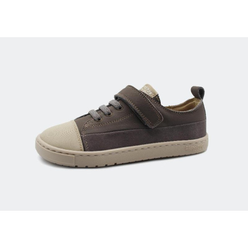 Blanditos - Ancla Gris -31-