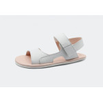 Blanditos - Artico Branco -33- Blanditos - Artico Branco -33-
