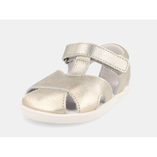 Blanditos - Java Champagne 26V -20-