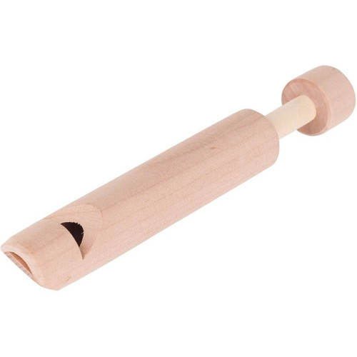 Flauta de Embolo