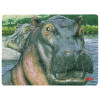 Mini Puzzles Animais Selvagens