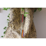 Fita Ginástica Arco-iris