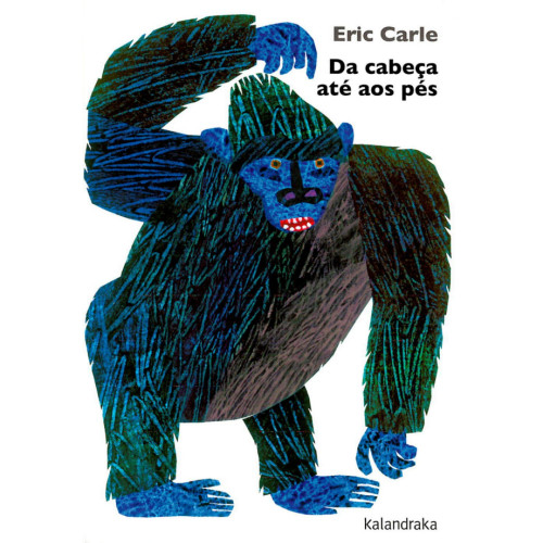 Da Cabeça até aos Pés