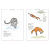 Inventário Ilustrado dos Animais com Cauda