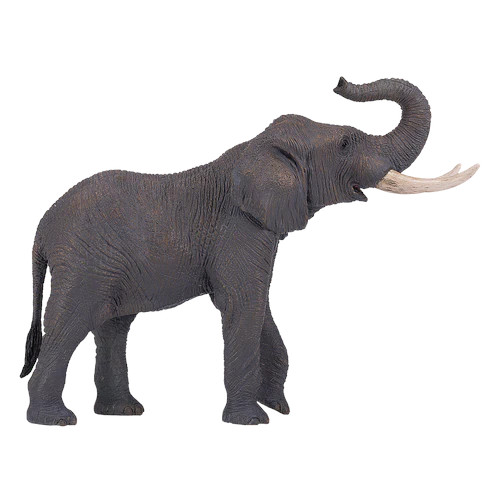 MOJO - Elefante Africano XXL
