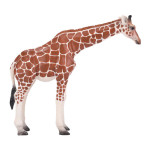 MOJO - Girafa Fêmea