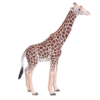 MOJO - Girafa Macho