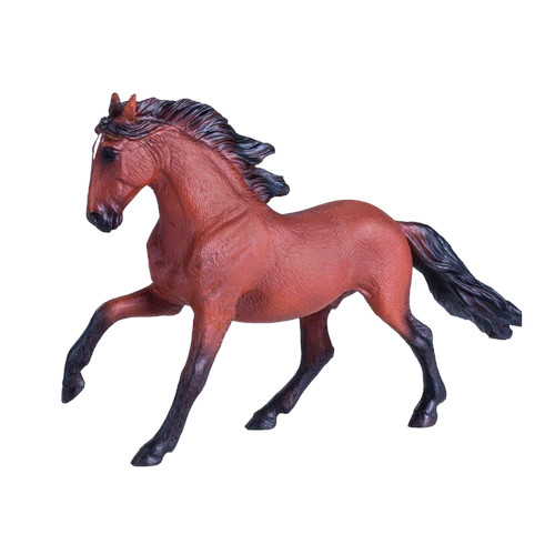 MOJO - Cavalo Lusitano Castanho