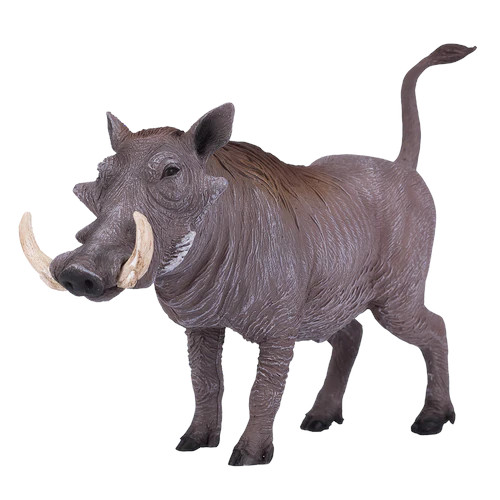 MOJO - Javali Africano