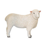 MOJO - Ovelha Romney