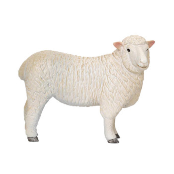 MOJO - Ovelha Romney