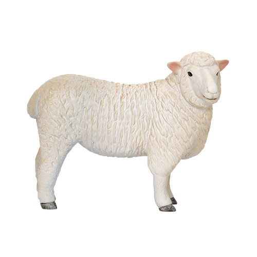 MOJO - Ovelha Romney