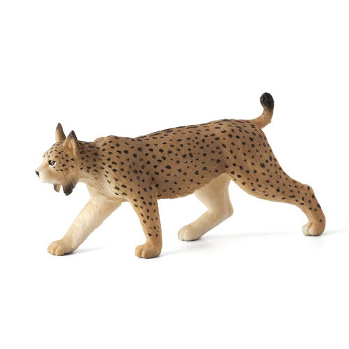 MOJO - Lince Ibérico