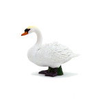 MOJO - Cisne