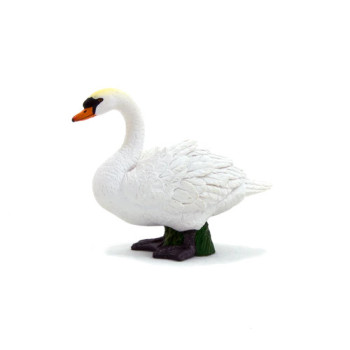 MOJO - Cisne MOJO - Cisne