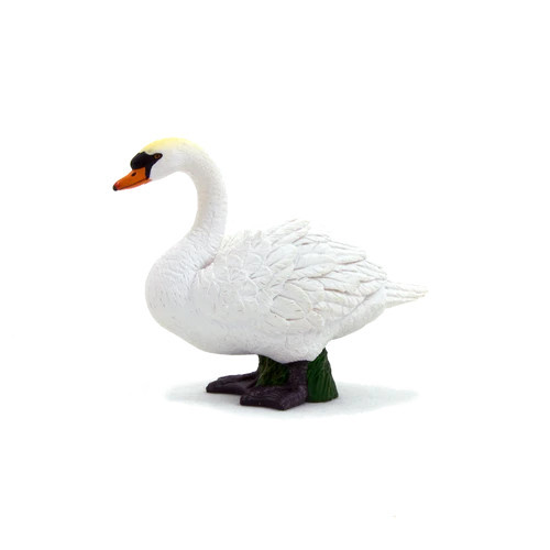 MOJO - Cisne
