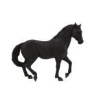 MOJO - Cavalo Andaluz Preto