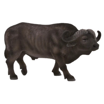 MOJO - Búfalo