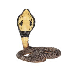 MOJO - Cobra Real