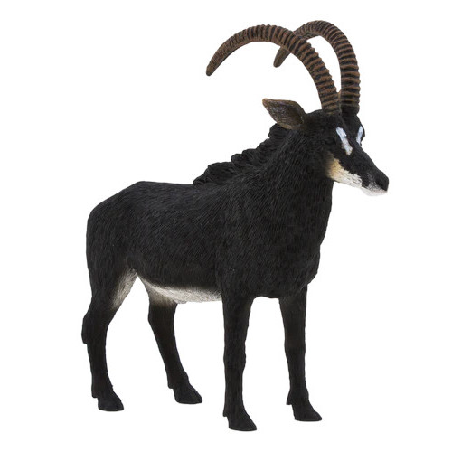 MOJO - Antilope Negro