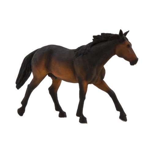 MOJO - Cavalo Quarto de Milha Ferrugem