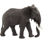 MOJO - Elefante Africano XL