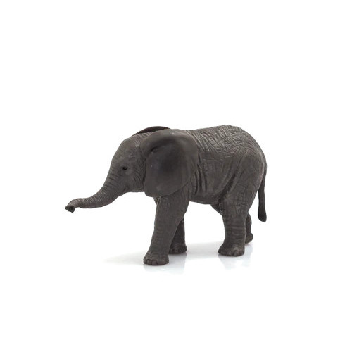 MOJO - Cria de Elefante Africano