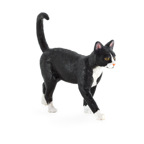MOJO - Gato Preto e Branco