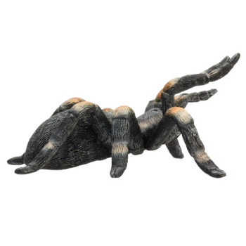 MOJO - Tarântula Joelho Encarnado