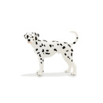 MOJO - Cão Dalmata