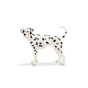 MOJO - Cão Dalmata