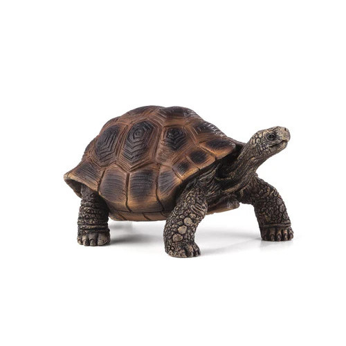 MOJO - Tartaruga Gigante