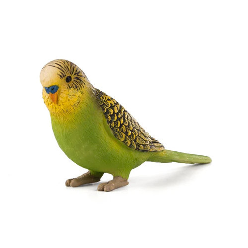 MOJO - Piriquito Verde