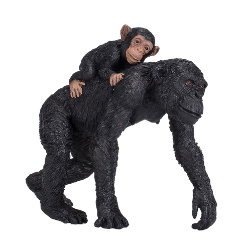 MOJO - Chimpanzé com Cria