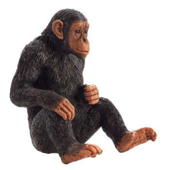 MOJO - Chimpanzé MOJO - Chimpanzé