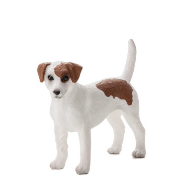 MOJO - Cão Jack Russel Terrier
