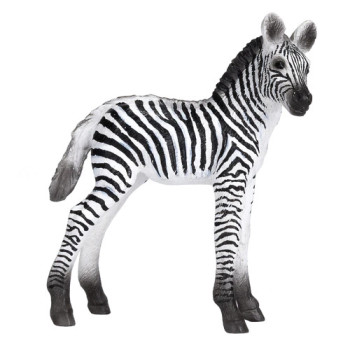 MOJO - Cria de Zebra MOJO - Cria de Zebra