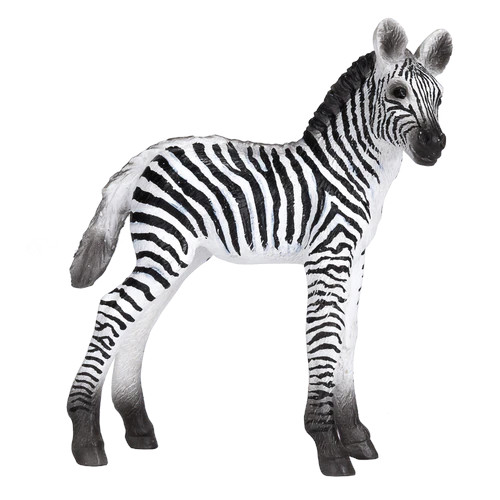 MOJO - Cria de Zebra
