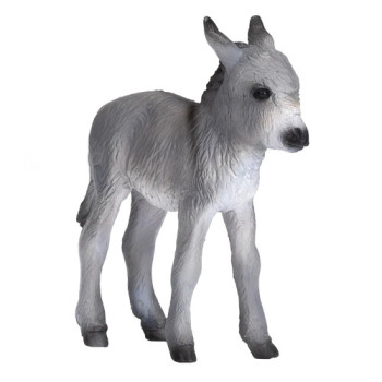 MOJO - Cria de Burro MOJO - Cria de Burro