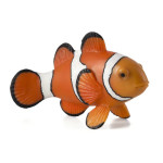 MOJO - Peixe Palhaço