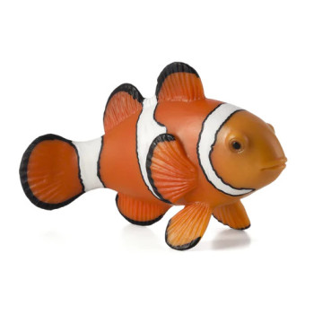 MOJO - Peixe Palhaço