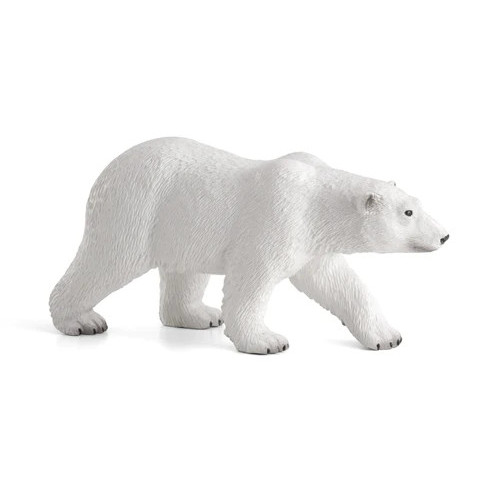MOJO - Urso Polar