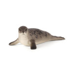 MOJO - Foca Cinzenta