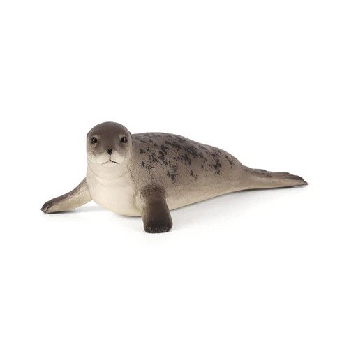MOJO - Foca Cinzenta