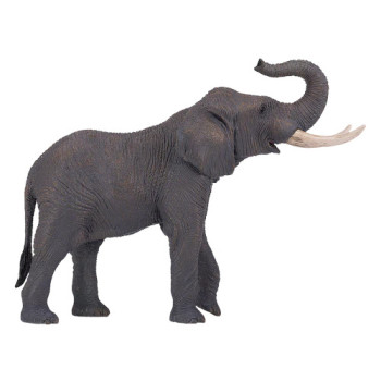 MOJO - Elefante Africano XXL