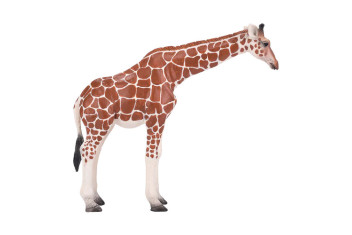 MOJO - Girafa Fêmea