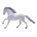 MOJO - Cavalo Branco Lusitano