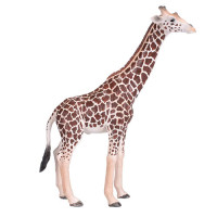 MOJO - Girafa Macho