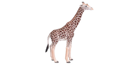 MOJO - Girafa Macho