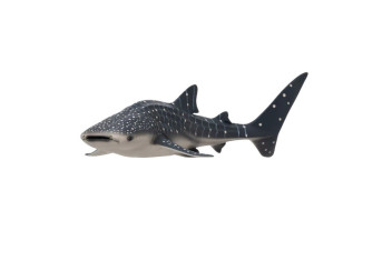 MOJO - Tubarão Baleia